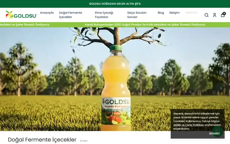 Gold Su Akdeniz Bölge Bayi web sitesi ana sayfa ekran görüntüsü