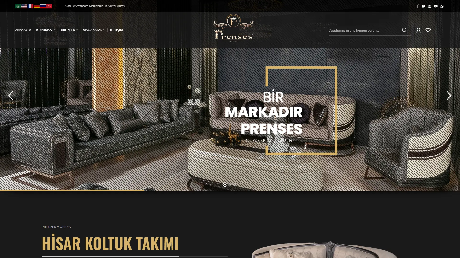 Prenses Mobilya web sitesi ana sayfa ekran görüntüsü